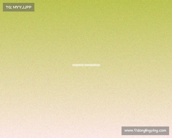 澳门机车赛事视频 澳门摩托车赛车严重意外